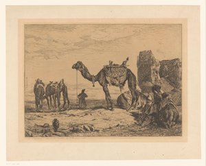 Paysage avec des chameaux près d