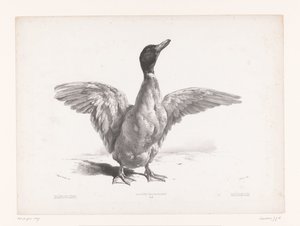Étude d