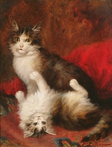 Chatouille-moi - Jules Leroy
