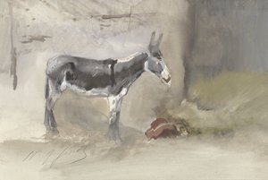 Âne dans une étable