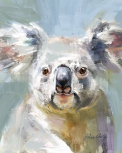 Le regard doux du koala - Julia Cheney
