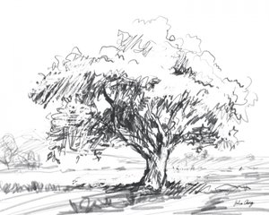 Dessin d