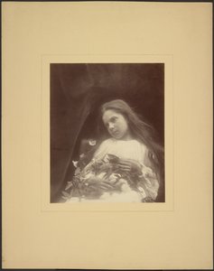 [Adeline Norman] - Julia Margaret Cameron
