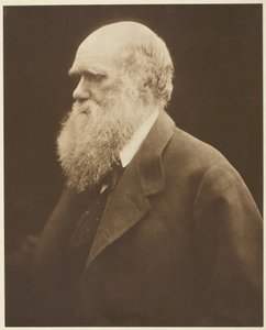 Charles Darwin - Julia Margaret Cameron