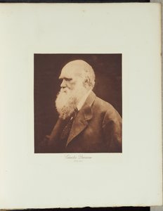  - Julia Margaret Cameron