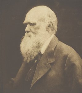 Charles Darwin - Julia Margaret Cameron