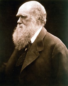 Charles Darwin, naturaliste britannique, vers 1870s - Julia Margaret Cameron