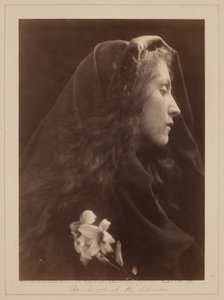  - Julia Margaret Cameron