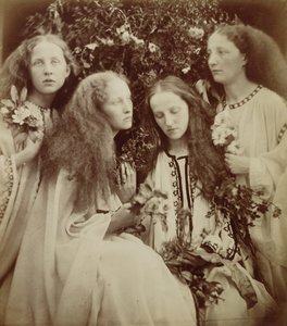Le Jardin des Boutons de Rose - Julia Margaret Cameron