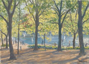 Central Park, New York, 2010 - Julian Barrow