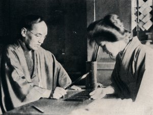 Pendant que la fortune de Yuki était racontée, je l