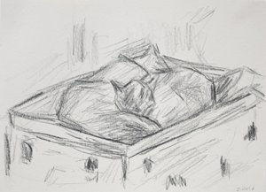 Chats nichés, 2015 - Julie Held