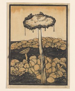 Champignon dégoulinant