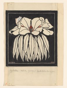 Godetia - Julie de Graag (signed by artist)