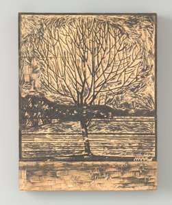 Arbre nu - Julie de Graag (signed by artist)