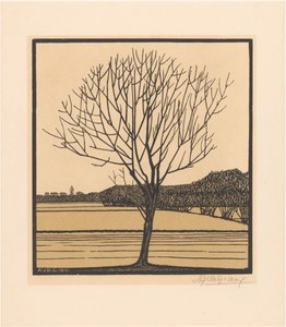 Arbre nu