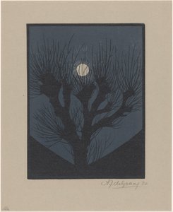 Nuit de lune