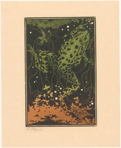 Grenouille nageant