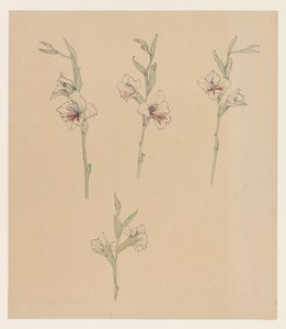 Études de fleurs - Julie de Graag