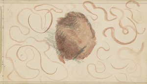Boule entourée de lignes courbes - Julie de Graag