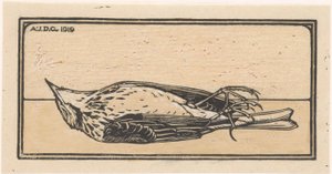 Petit oiseau mort - Julie de Graag