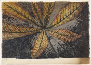 Feuille de châtaignier