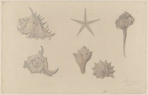 Feuille d