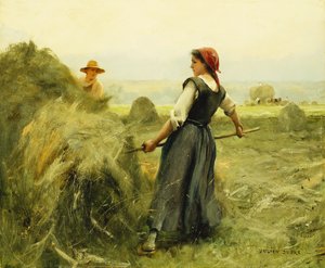 Fenaison
