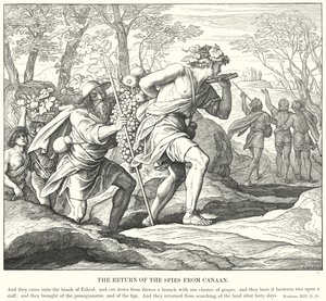 Le Retour des espions de Canaan