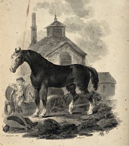 Cheval de trait se tenant devant le trait avec le conducteur de trait - Julius Caesar Ibbetson