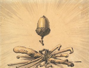 Eichelstärke