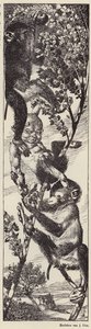 Singes cueillant des fruits dans un arbre (litho) - Julius Diez