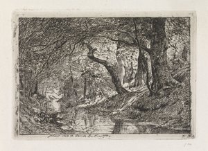 Paysage forestier avec ruisseau et arbres sur la rive