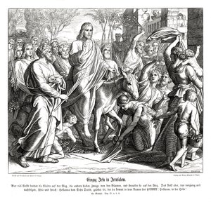 Entrée de Jésus à Jérusalem, Évangile de Matthieu