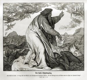 Cinquième jour de la création, Genèse - Julius Schnorr von Carolsfeld