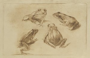 Grenouilles - Julius Wohlers