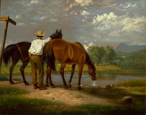 Abreuvement des chevaux