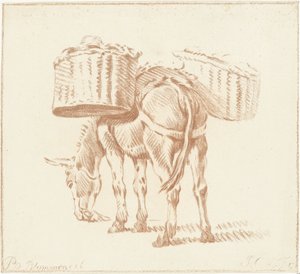 Âne chargé - Jurriaan Cootwijck
