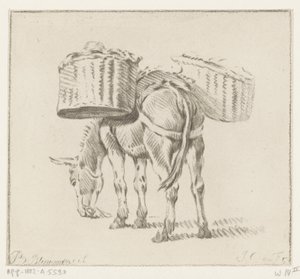 Âne chargé - Jurriaan Cootwijck