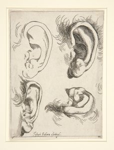Études de quatre oreilles