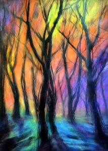 Lumières de la forêt enchantée