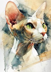 Chat Sphynx aux yeux verts