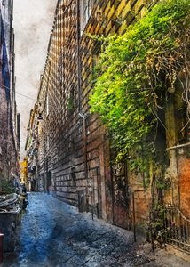 Ruelle pavée historique - Justyna Jaszke
