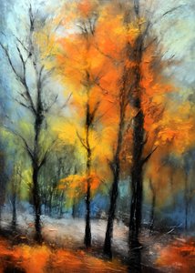 Une forêt automnale aux couleurs chatoyantes - Justyna Jaszke