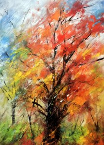 Un arbre aux couleurs chatoyantes en automne - Justyna Jaszke