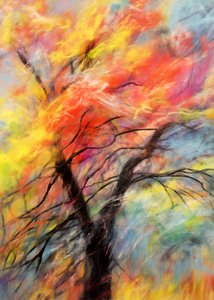 Un arbre aux couleurs chatoyantes en automne