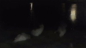 Nocturne. Cygnes dans le Jardin Saxon à Varsovie la nuit