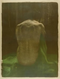 Nu féminin de dos sur tissu vert - Käthe Kollwitz