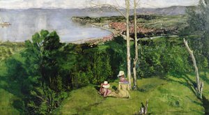 Vue sur Trondheim - Kalle Lochen