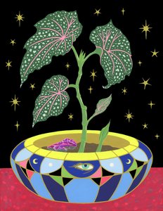 Bégonia en pot, 2021